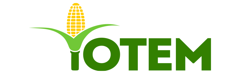 TOTEM Logo